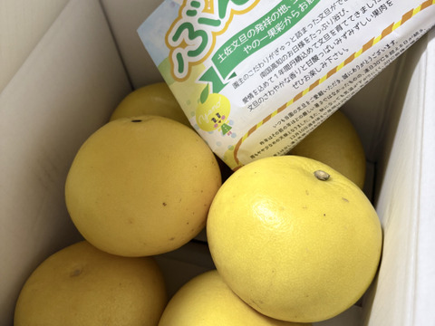 日本ギフト大賞受賞】👑 家庭用 土佐文旦 高知県産 大玉 3kg（5〜7玉