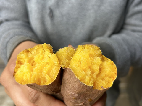 熊本県産オーガニック安納芋(箱込み５㎏)【自家採種を続けている箱入り娘】焼き芋、お菓子作りにも！