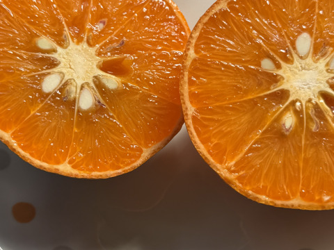 べにばえ（無農、ノーワックス）