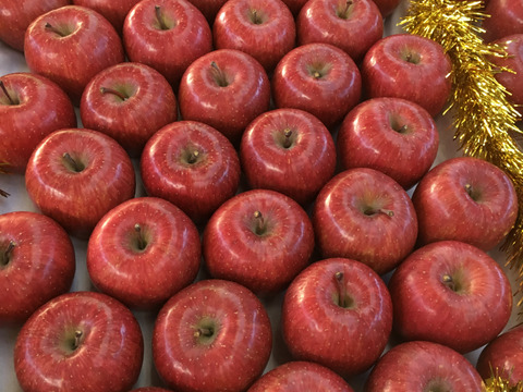 青森りんご　甘酸適和でりんごの代名詞、サンふじ　家庭用　5キロ