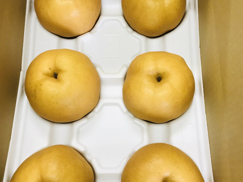 糖度ピークです‼️【ちょっと訳ありだけど良品です】新高梨約5kg✨️少しの変形、少しの汚れ等で贈答用に入れなかった梨達を箱詰め、ご家庭用にどうぞ😊鮮度を保つ為にクール便で発送🚚
