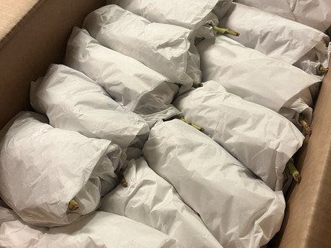 甘さとコクの極み！種あり巨峰4kg(10-16房)長野県認証/特別栽培同基準（信州の環境にやさしい農産物認証50）