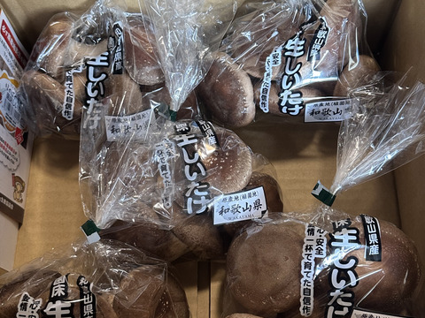 肉厚ボリュームの菌床生しいたけ１㎏！