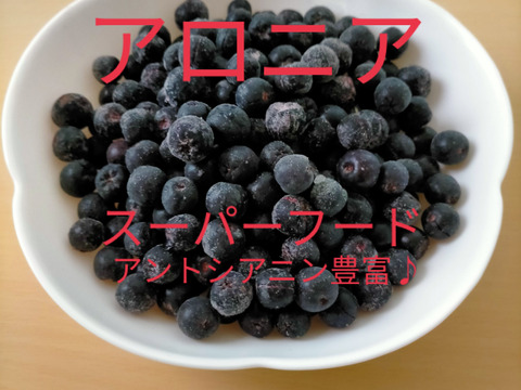 埼玉県産　令和5年度 冷凍ブルーベリー5キロ