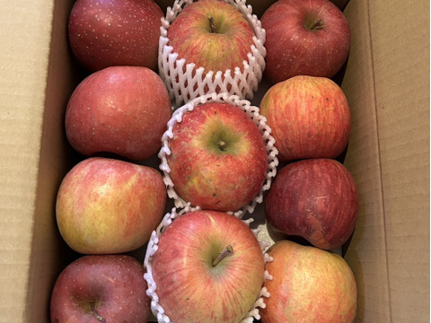 信州りんご🍎４キロパック詰め