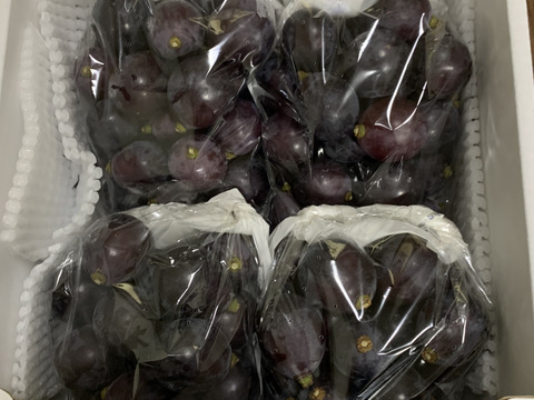 訳有りor粒切り】藤稔2kg箱：岡山県産の藤稔｜食べチョク｜産地直送