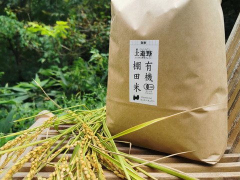 【新米】有機棚田米てんたかく3kg【令和2年度産】