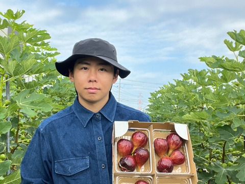 【完熟】城陽産輝きのいちじく　エヌベール農園