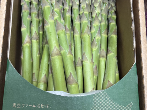 2025年北海道産！丁度よくて使いやすい！青空ファーム池田の青空アスパラ(L-2Lサイズ/1kg)