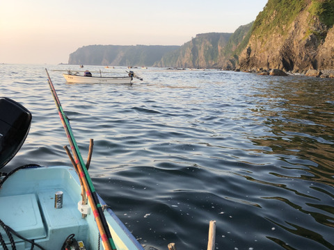 塩にこだわり！　熟成甘塩ウニ　６０gx２本