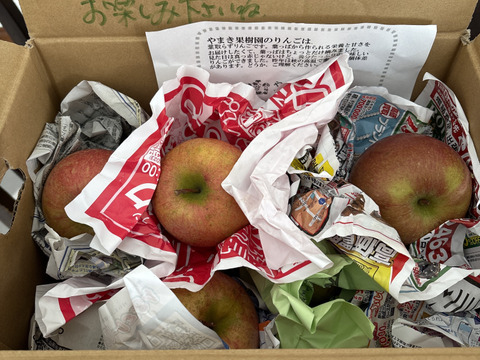 今季最終です！😋小玉りんご、色薄いりんご🍎でも甘いです。ふじりんご5キロ箱バラ詰め😊加工用