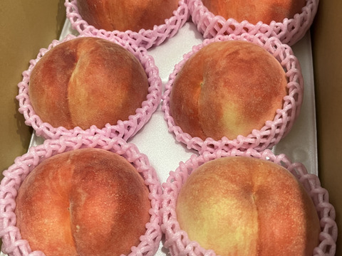 【夏ギフト】飛騨の新品種！『つむぎ』　糖度13度以上　1.5kg（4-6玉）