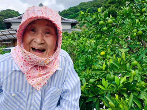 【2S~S3kg】第四弾!94歳とみ子ばぁばの有田みかん