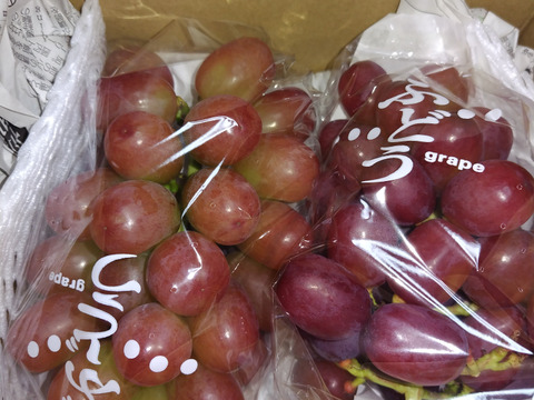 訳あり3』クイーンルージュ®︎2房セット(合計約1kg)長野県限定品種