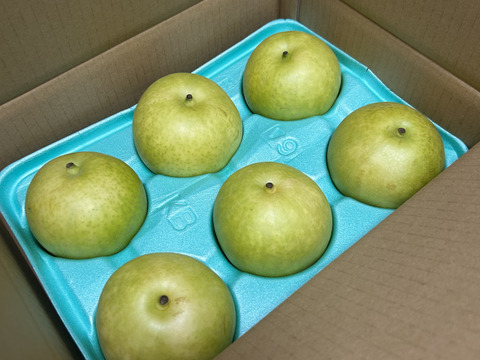 予約】梨 二十世紀 良品 約3kg ‼️長野県産：長野県産の二十世紀梨