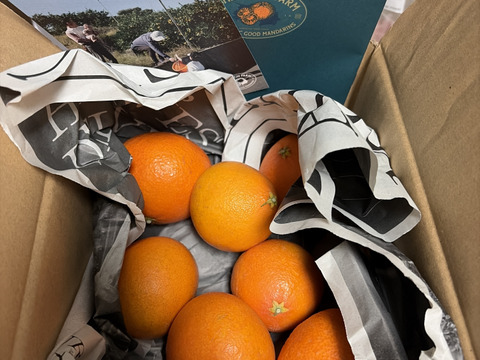 【ゼリーのようなプルプル食感】まどんな 1.5kg【家庭用】【冬ギフト】