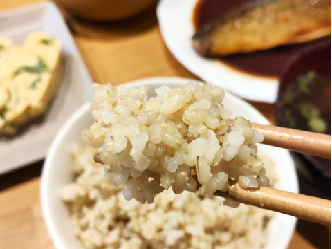 《農薬不使用・肥料除草剤不使用》お日さまたっぷりのお米『日本晴』【玄米】1kg・2025年和歌山県産