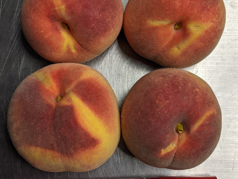 きららのきわみとシャインマスカット