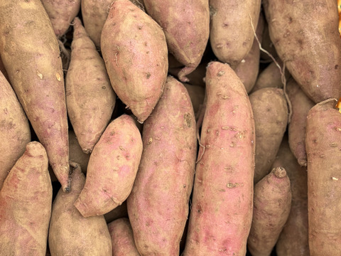 高系14号｜ホクホク栗のような上品な甘さ 島育ちの熟成さつまいも 五島産 ２kg