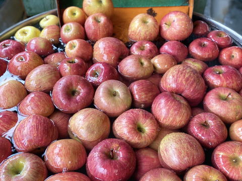 無添加100%手搾りりんごジュース　1L×3本セット