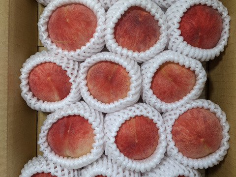 早生桃　暁星15個