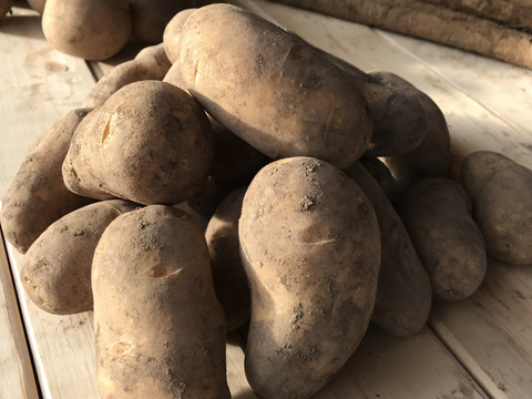 完熟‼️小さなナガイモ…
完熟‼️じゃがいも(メークイン)…
各4.5kg    旨っ❗️北海道の貯蔵野菜は今が旬‼️2箱同梱送料節約