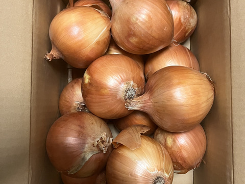 【野菜ソムリエサミット金賞🏆】淡路島玉ねぎ5kg