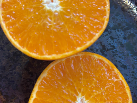 🍊【訳あり】【家庭用】せとか🍊（小玉・2キロ箱込み）