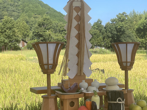 旨みたっぷり！穴穂米10kg
