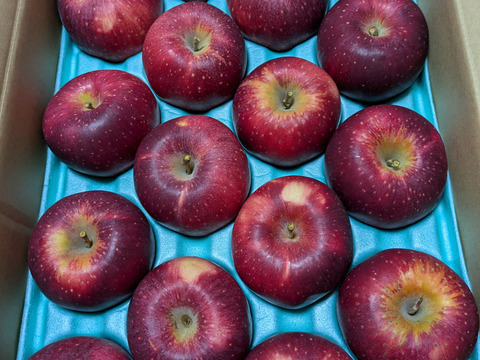 【シナノホッペ】家庭用　甘くて硬い！ほっぺが落ちる美味しさ♡