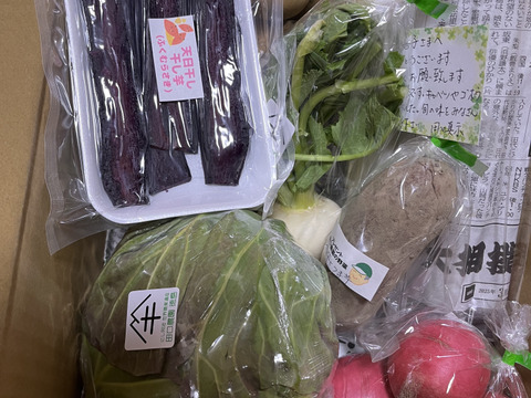 定期便設定（お届け日は２～３日前後します）【たっぷりいろいろ　２０００円セット】農家人が選ぶ旬野菜のおまかせセットです。季節ごとの旬の世界農業遺産ブランド野菜を厳選してお届け致します。