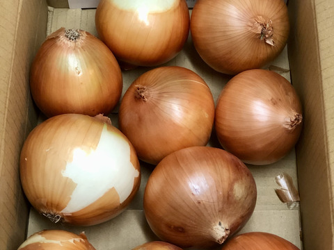 【お陰様でリピーター様多数！】淡路島玉ねぎ「中生種」３kg　特別栽培　ひょうご安心ブランド認証取得