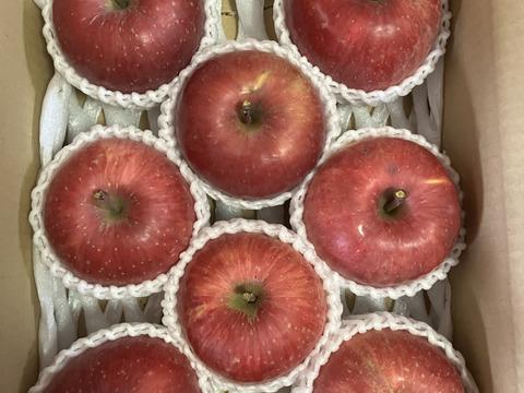 蜜入りチェック済！超大玉葉取らずスペシャル3キロ8玉葉取らず農薬半減栽培樹上完熟蜜入サンふじ　蜜ライトにて光を通すかチェックします！　りんご　農薬半減栽培で安心安全　　すぐ発送‼️限定1