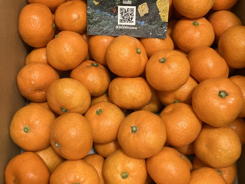 極上小玉みかん5kg