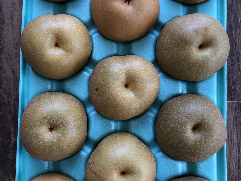 豊水　家庭用5㎏特大11玉