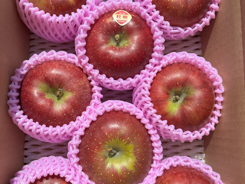 パリッとりんご！秋映 約3kg　信州りんご