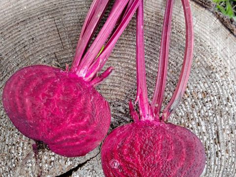 大地がくれた真っ赤なごちそう!　ビーツ1.5kg