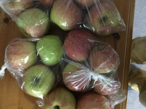 信州りんご🍎４キロ
