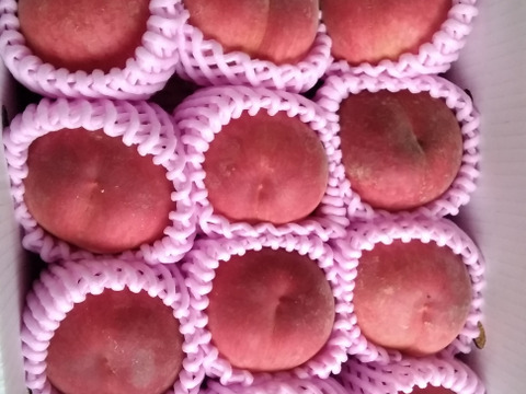 今シーズン訳ありラスト！ 桃 おまかせ 小玉 ちびっ子 訳あり 1.8kg
