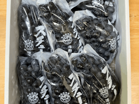 【規格外品・お試し用・ご家庭用】本場青森鶴田町産のスチューベン🍇甘くて濃いぶどう（2kg）