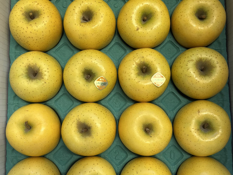 【家庭用】シナノゴールド（小玉） 約5kg(20～23個)