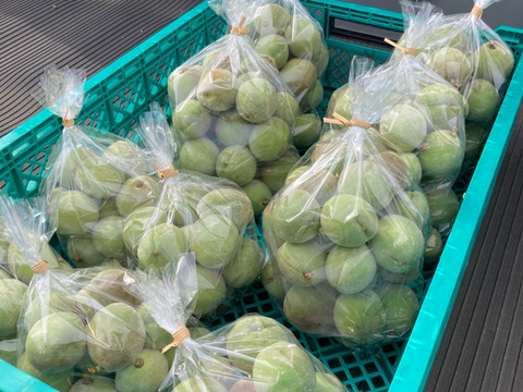 シロップ漬けに【若桃・青桃】