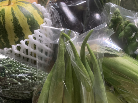 【自然農】ももタケ『季節の野菜セット』肥料・農薬不使用、天地の恵み・露路栽培※少量多品目生産のため数量に限りがあります