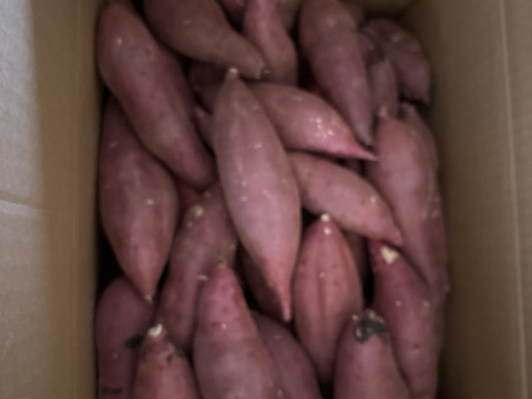 ねっとり甘い！熟成紅はるか　Sサイズ　10kg さつまいも