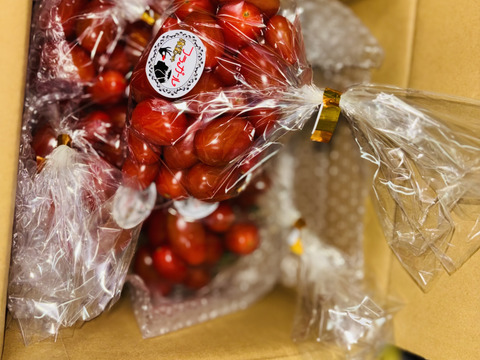 【美味い！】サクサクミニトマト　フラガール290g×4袋