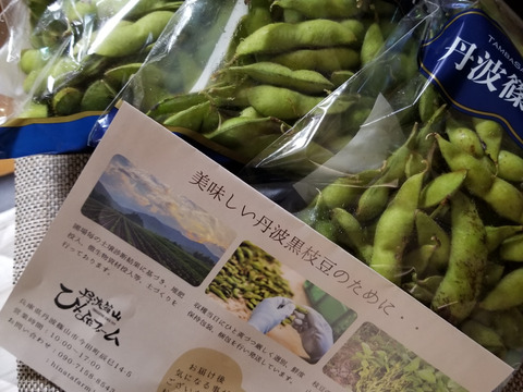 【予約】黒豆の本場 丹波篠山の黒枝豆１kg