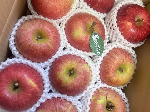 【冬ギフト】 🍎レビュー数1700件突破！！《家庭用》青森完熟葉とらずふじ８〜１２玉(約３kg)🍎ID119812