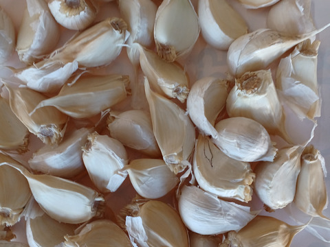 調理がしやすい！バラ＊ニンニク1ｋ～冬本番＊待ってました！