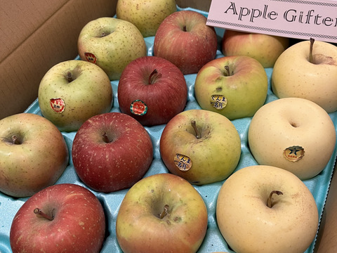 おまかせ旬りんご詰め合わせ（家庭用5kg・14~20玉）【みんなで食べ比べ🍎】