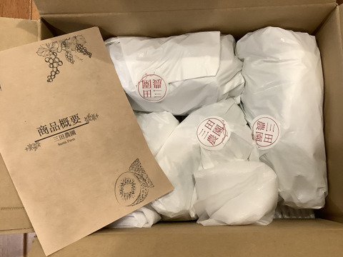【期間限定セール】本当に美味しい！家庭用シャインマスカット🍇2kg(３房～4房)